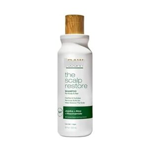 The Truly 𝕽𝖆𝖜-𝕾𝖚𝖌𝖆𝖗 Scalp Restore Shampoo - Jojoba + Aloe + Niacinamide, 18 fl oz (Pack of 1)